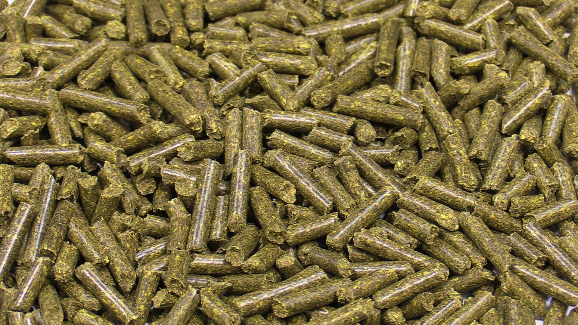 Home / Livestock / Feed Commodities / Grains / ALFALFA PELLET