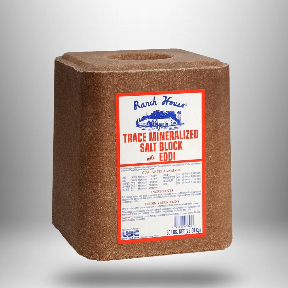 EDDI Iodine Salt Block