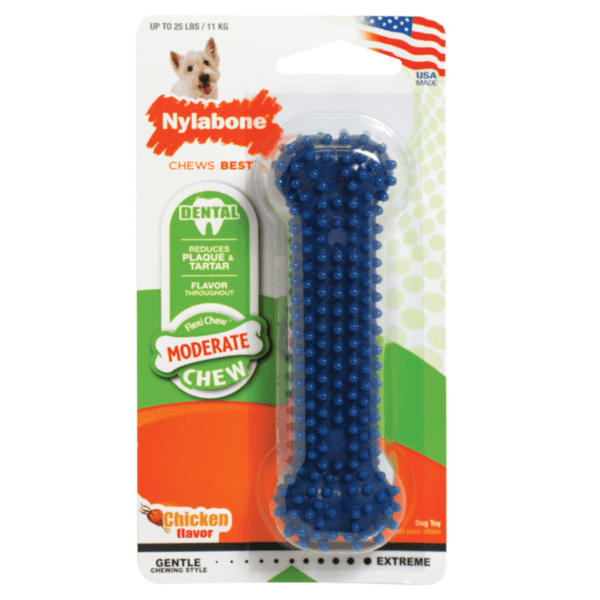 NYLABONE DENTAL CHEW REGULAR