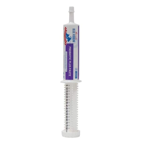 GP PROBIOTIC PLUS PASTE 80CC