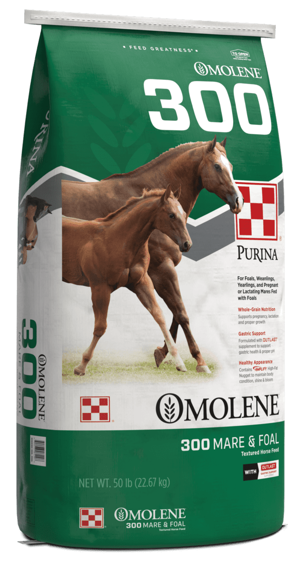 Purina Omolene 300 Growth