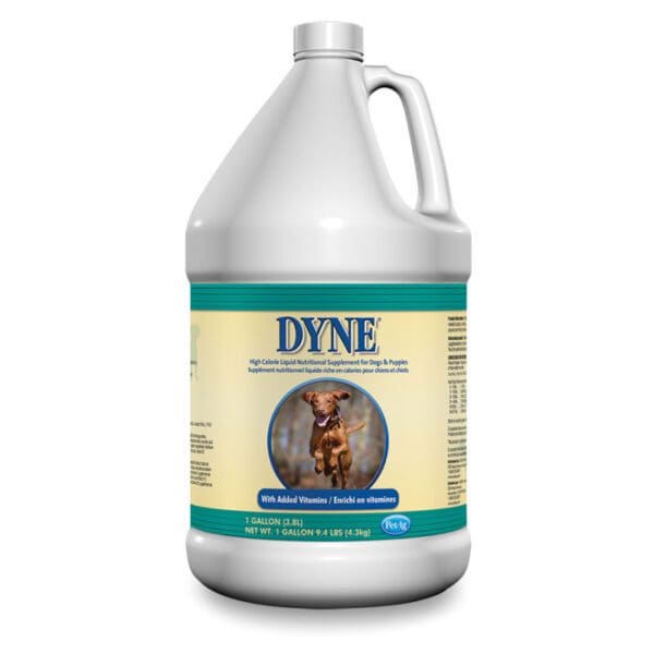 DYNE SUPPLEMENT GAL.
