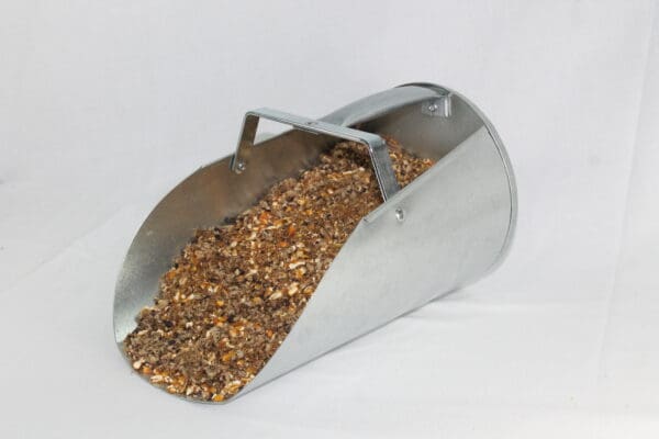 FEEDLOT FEED
