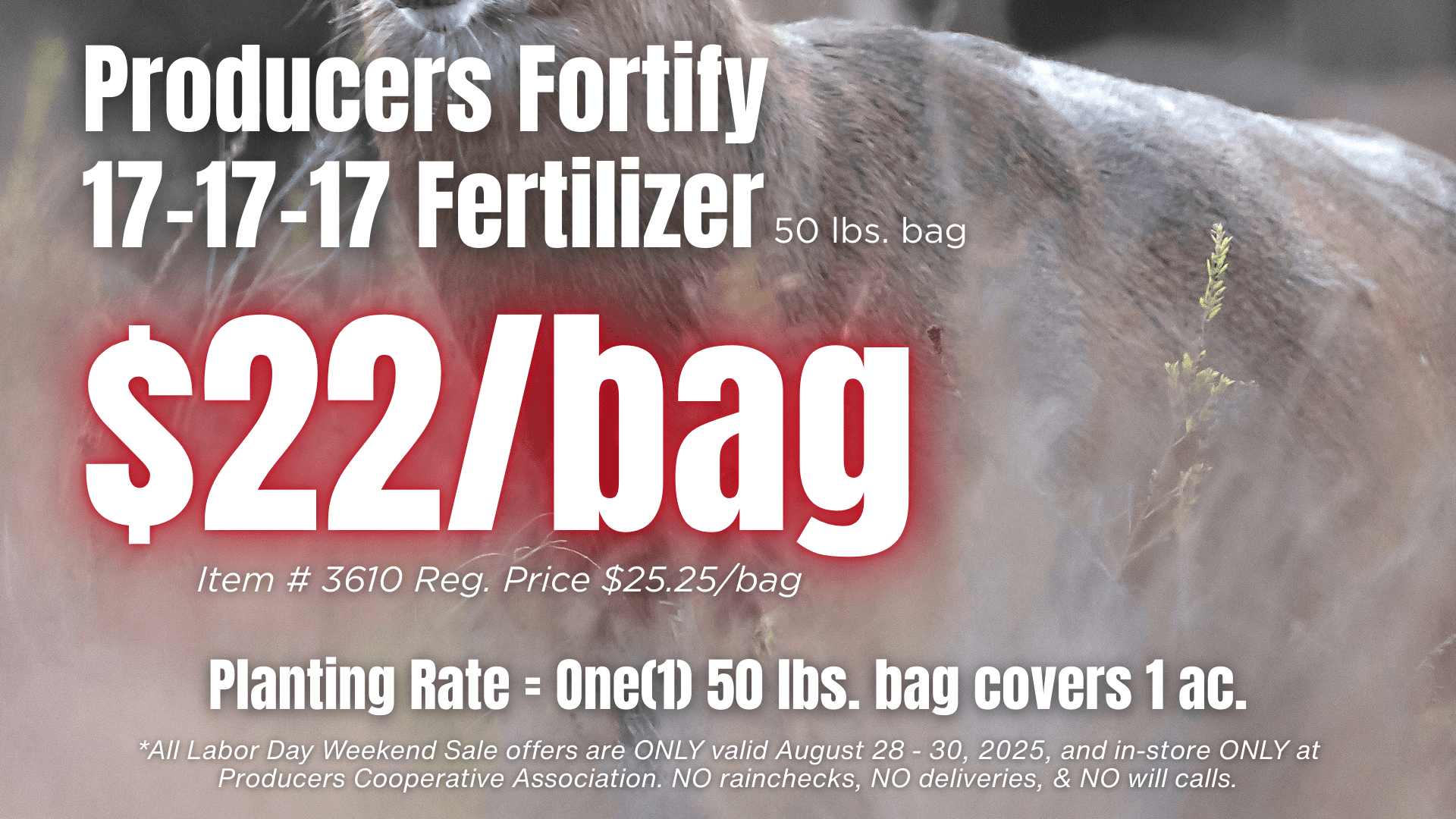 deer-corn-labor-day-weekend-sale