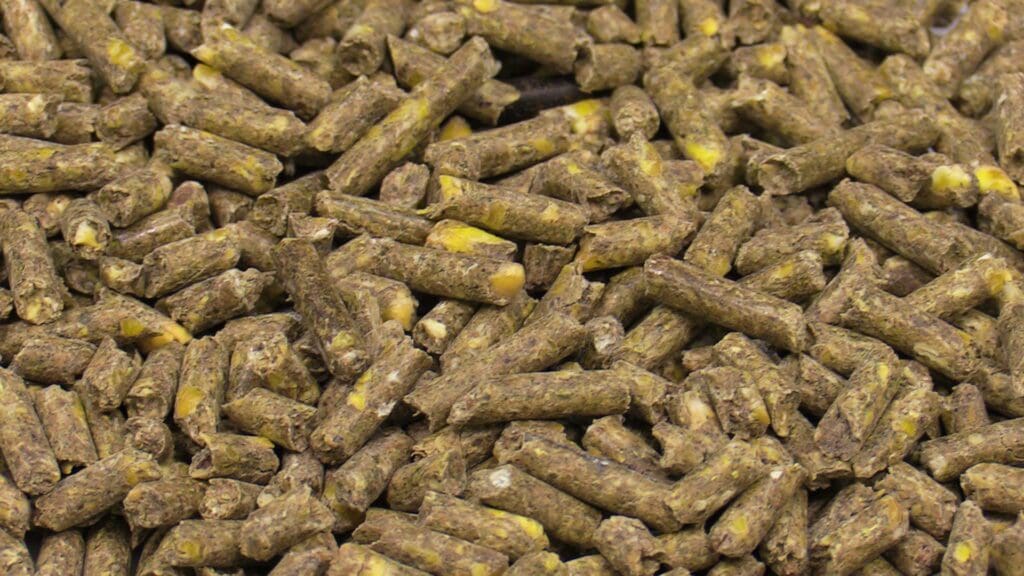 Home / Livestock / Goats & Sheep / Goat Feeds / GOAT PELLET DX