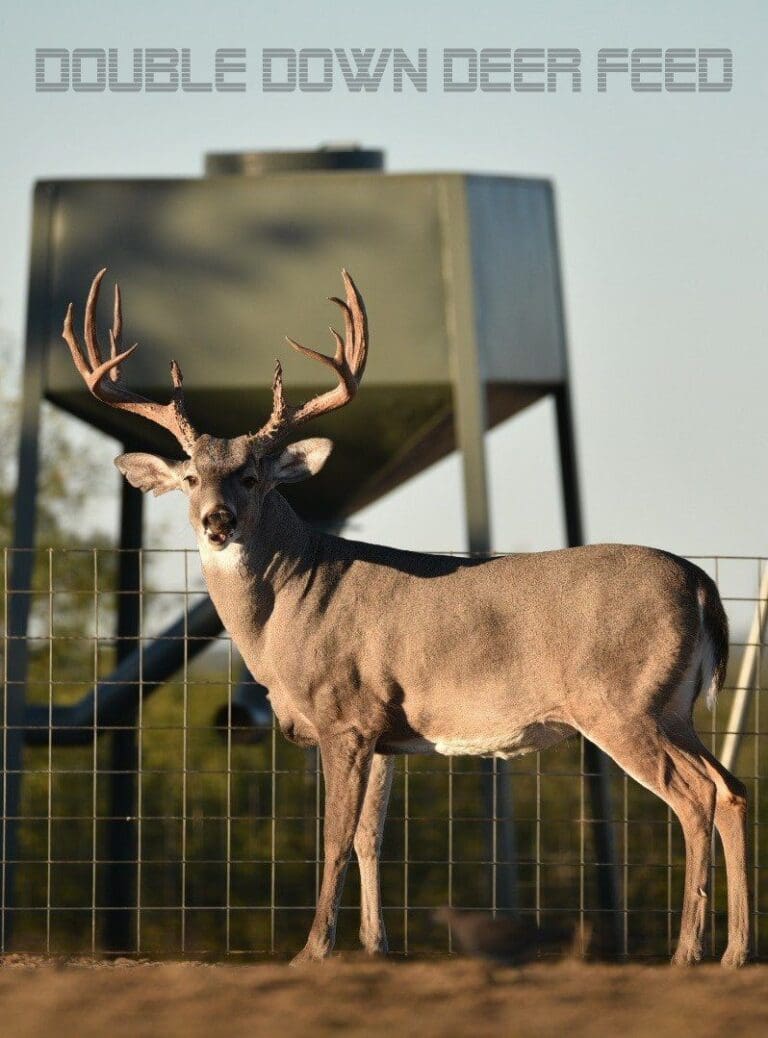 Double Down® Deer Feed