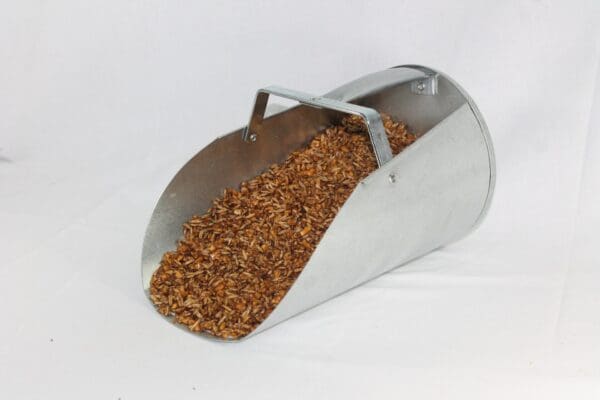 HORSE & MULE TEXTURED SWEET FEED