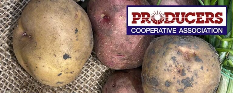 Potatoes Potatoes