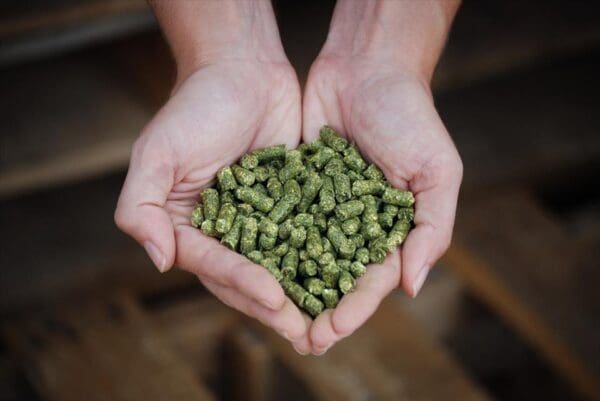 SUNCURED 15% ALFALFA PELLETS